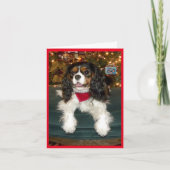 Carte de Noël Cavalier King Charles Spaniel (Devant)