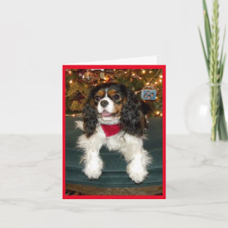 Carte de Noël Cavalier King Charles Spaniel