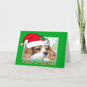 Carte de Noël Cavalier King Charles Spaniel (Devant)