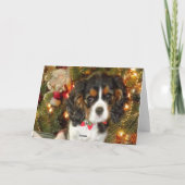 Carte de Noël Cavalier King Charles Spaniel (Dos)