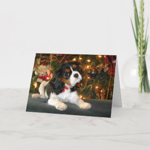 Carte de Noël Cavalier King Charles Spaniel