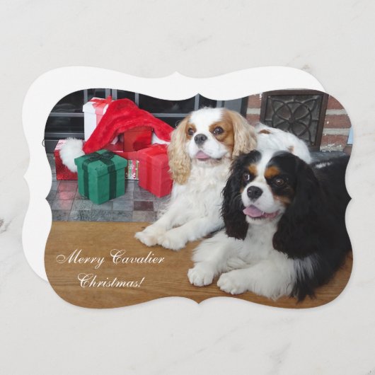 Carte de Noël Cavalier King Charles Spaniel (Devant / Derrière)
