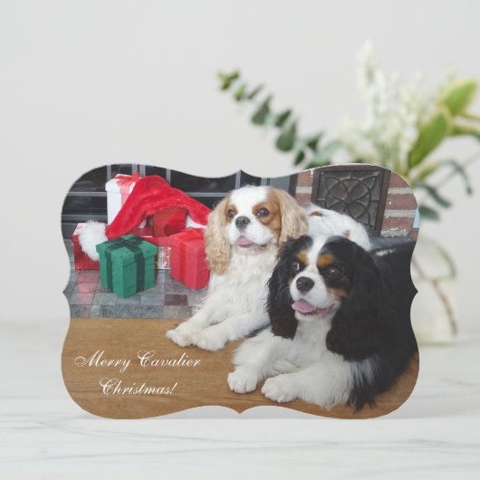 Carte de Noël Cavalier King Charles Spaniel (Debout devant)