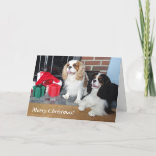 Carte de Noël Cavalier King Charles Spaniel