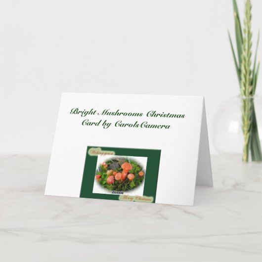 Carte de Noël Champignons Lumineux (Dos)