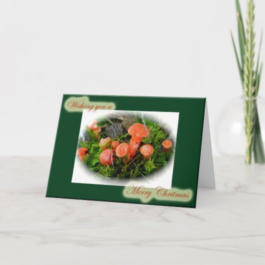 Carte de Noël Champignons Lumineux (Devant)