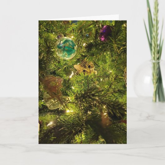 Carte de Noël Chat Dans L'Arbre de Noël (Devant)