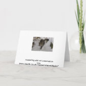 Carte de Noël - chat du Bengale (Dos)