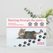 Carte de Noël - Chat se précipitant dans la neige (Debout devant)