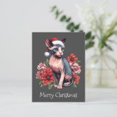Carte de Noël | Chat Sphynx portant un chapeau de (Debout devant)