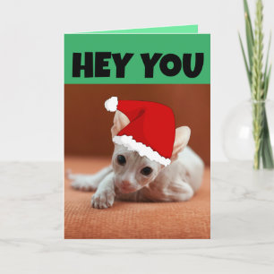 CARTE DE NOËL CHATON SPHYNX SANS POILS
