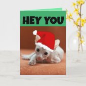 CARTE DE NOËL CHATON SPHYNX SANS POILS (Fleur jaune)