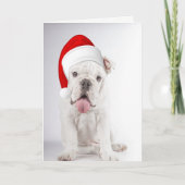 Carte de Noël Chien à Chien à Chien à Chien à Chie (Devant)