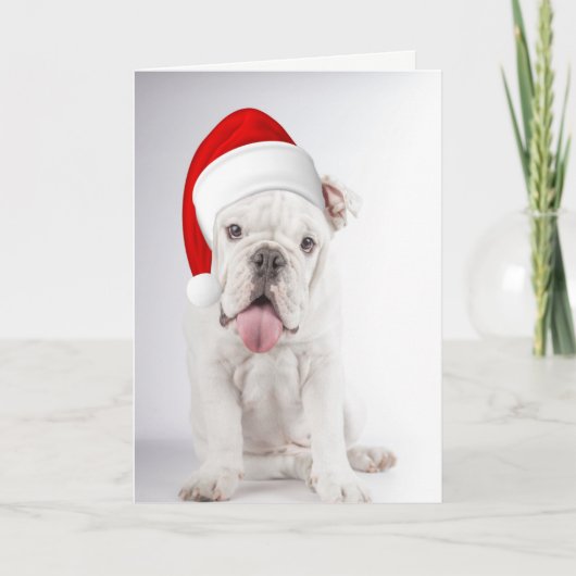 Carte de Noël Chien à Chien à Chien à Chien à Chie (Devant)
