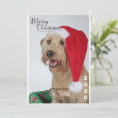 Carte de Noël Chien animal de compagnie photo Coll (Debout devant)