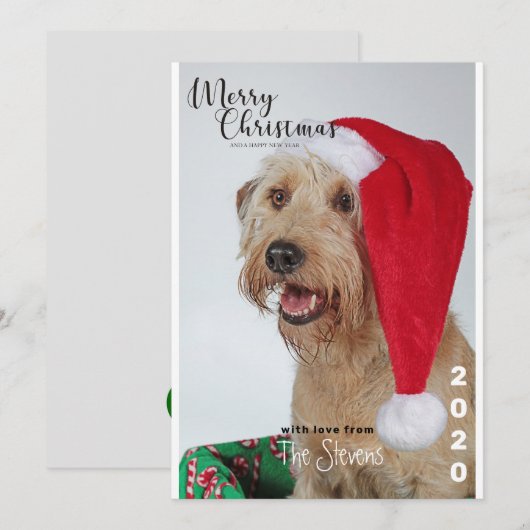Carte de Noël Chien animal de compagnie photo Coll (Devant / Derrière)