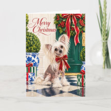 Carte de Noël Chien Crêté Chinois Ruban Rouge