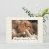 Carte de Noël Chien de Paix Doré (Debout devant)
