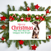 Carte de Noël Chihuahua