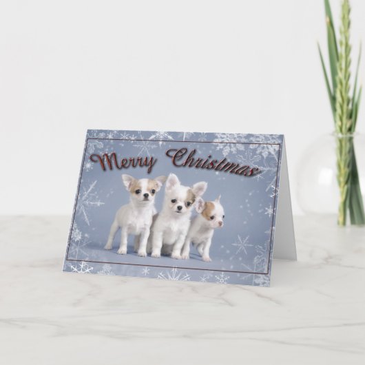 Carte de Noël Chihuahua (Devant)