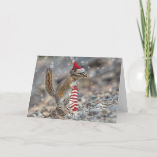 Carte de Noël Chipmunk