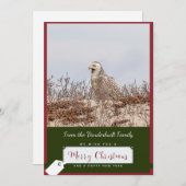 Carte de Noël Chouette neigeuse (Devant / Derrière)