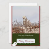 Carte de Noël Chouette neigeuse (Devant / Derrière)