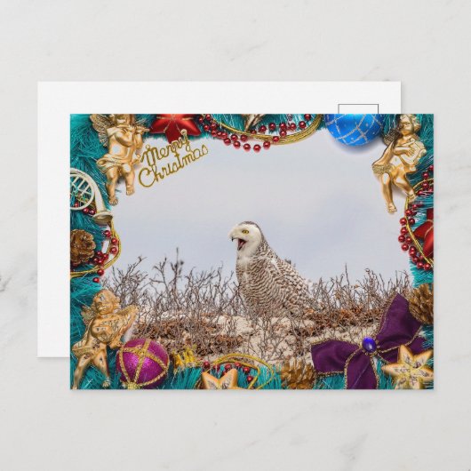 Carte de Noël Chouette neigeuse (Devant / Derrière)