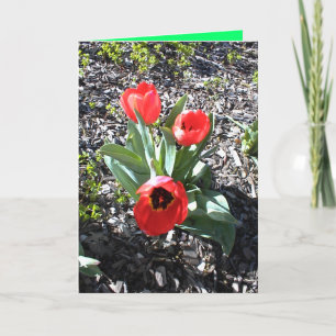 Carte de Noël chrétienne pour la personne privée