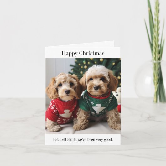 Carte de Noël Cockapoo Puppies (Devant)