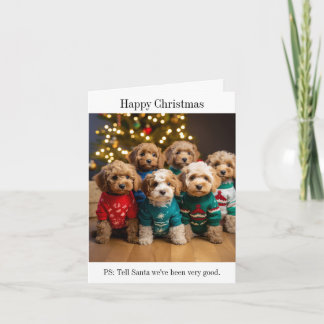 Carte de Noël Cockapoo Puppy Litter