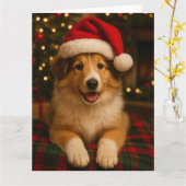 Carte de Noël Collie (Fleur jaune)