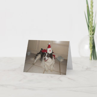 Carte de Noël Collie Bordure