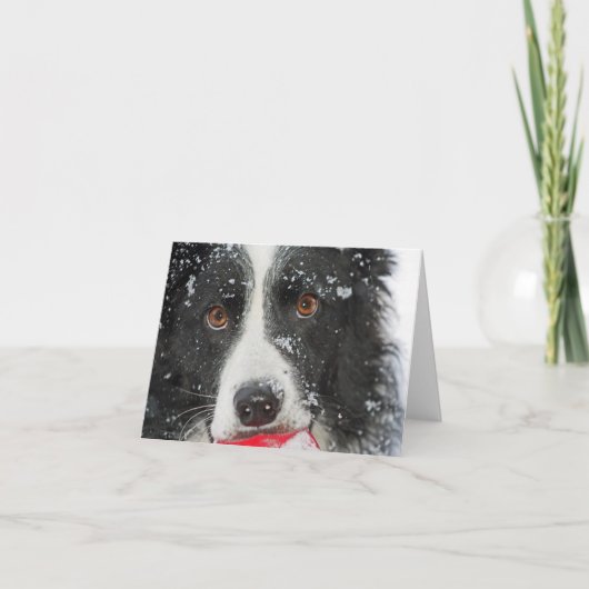 Carte de Noël Collie Bordure (Devant)