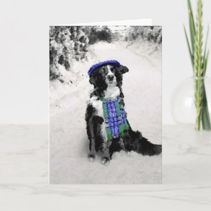 Carte de Noël Collie Bordure