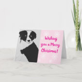 Carte de Noël Collie de la frontière rose (Devant)