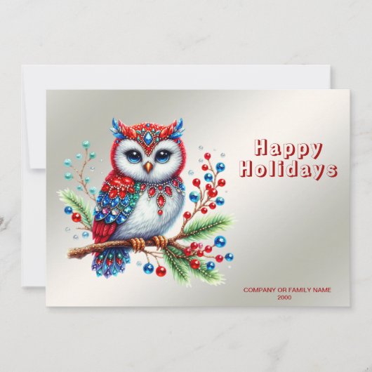 Carte de Noël colorée Chouette (Devant)