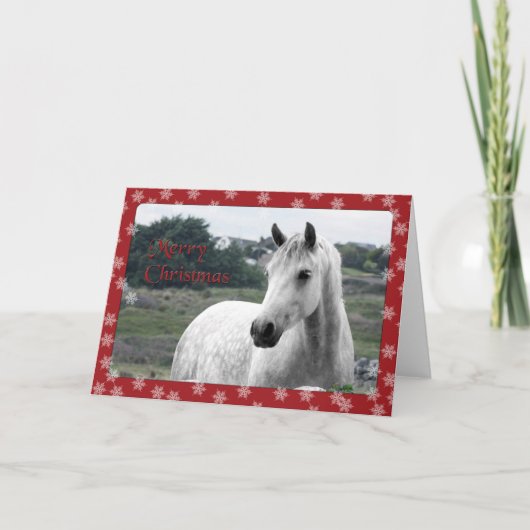 Carte de Noël Connemara Pony (Devant)