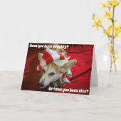 Carte de Noël Corgi (Fleur jaune)