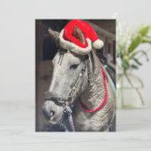 Carte de Noël Curly Horse (Debout devant)