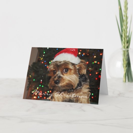 Carte de Noël Cute Yorkshire Terrier (Devant)