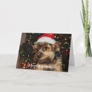 Carte de Noël Cute Yorkshire Terrier
