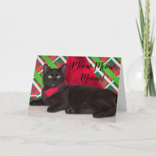 Carte de Noël d'amoureux des chats