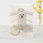 Carte de Noël d'ange de chien maltais élégant (Fleur jaune)