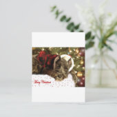 Carte de Noël d'animal familier (Debout devant)