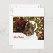 Carte de Noël d'animal familier (Devant / Derrière)