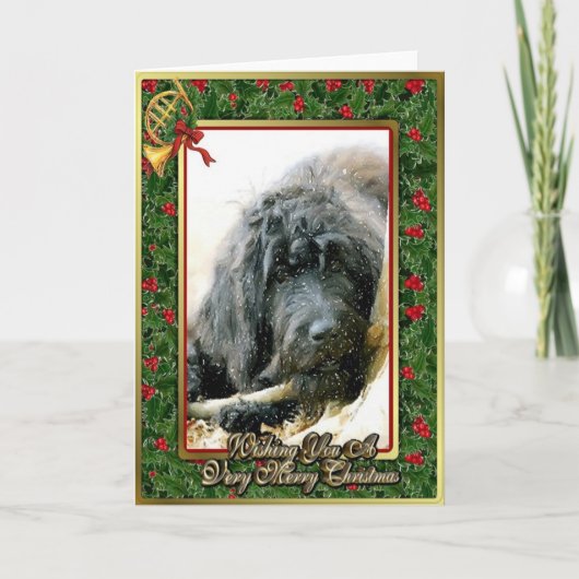 Carte de Noël de blanc de chien de Labradoodle (Devant)