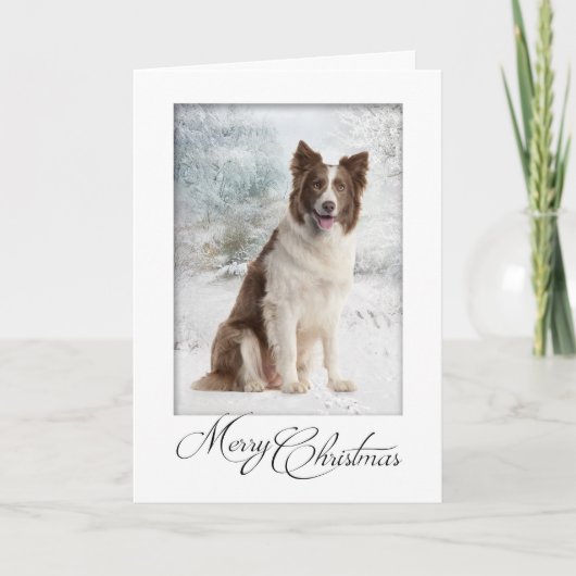 Carte de Noël de border collie de chocolat (Devant)