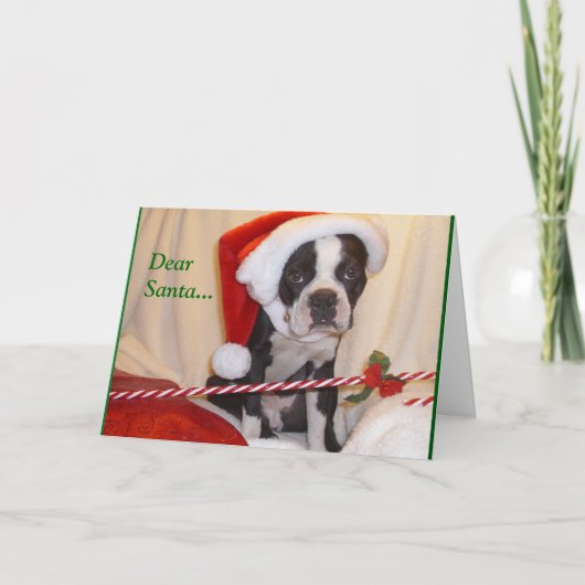 Carte de Noël de Boston Terrier (Devant)