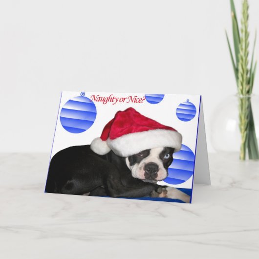 Carte de Noël de Boston Terrier (Devant)